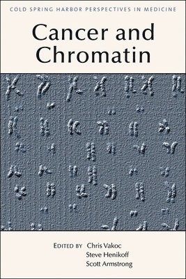 bokomslag Chromatin Deregulation in Cancer