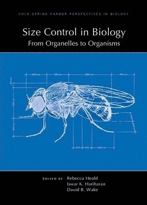 David Wake, David (University of California Berkeley) Wake, Rebecca Heald, Iswar Hariharan, Rebecca (University of California Berkeley) Heald, Iswar (University of California) Hariharan - Size Control in Biology: From Organelles to Organisms, Häftad