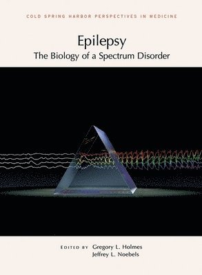 bokomslag Epilepsy: The Biology of a Spectrum Disorder