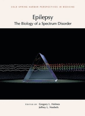 Jeffrey L Noebels, Gregory L Holmes, Jeffrey L Noebels, Gregory L Holmes, Jeffrey L (Baylor College of Medicine) Noebels, Gregory L (University of Vermont College of Medicine) Holmes, Jeffrey L. Noebels, Gregory L. Holmes, Associate Professor Noebels, Jeffrey L, Professor and Chai Holmes, Gregory L MD - Epilepsy: The Biology of a Spectrum Disorder, Häftad