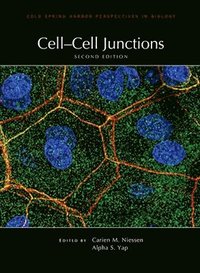 bokomslag Cell-Cell Junctions, Second Edition