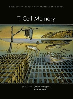 David Masopust, Rafi Ahmed, David Masopust, Rafi Ahmed - T-Cell Memory, Inbunden