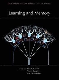 bokomslag Learning and Memory