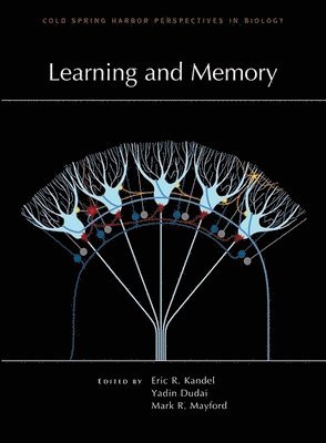 Eric R. Kandel, Yadin Dudai, Eric R Kandel MD, Yadin Dudai Phd, Mark R Mayford Phd - Learning and Memory, Häftad