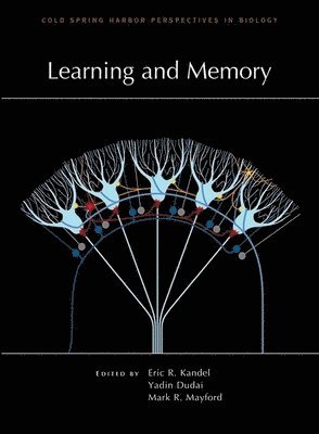 Learning and Memory 1