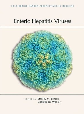 Stanley M Lemon, Christopher M Walker, Stanley M Lemon, Christopher M Walker - Enteric Hepatitis Viruses, Inbunden