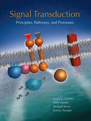 Lewis Cantley, Tony Hunter, Richard Sever, Jeremy Thorner, Lewis Cantley, Tony Hunter, Richard Sever, Jeremy Thorner - Signal Transduction: Principles, Pathways, and Processes, Häftad