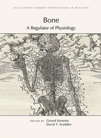 bokomslag Bone: A Regulator of Physiology
