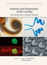 bokomslag Function and Dysfunction of the Cochlea
