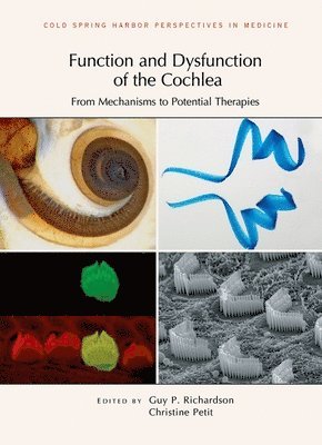 Function and Dysfunction of the Cochlea 1