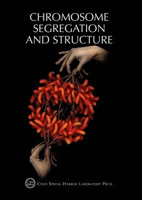 Terri Grodzicker, David Stewart, Bruce Stillman - Chromosome Segregation & Structure, Häftad