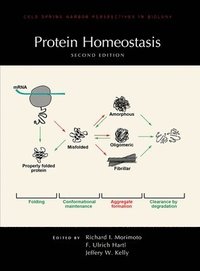 bokomslag Protein Homeostasis, Second Edition
