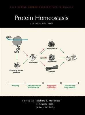 bokomslag Protein Homeostasis, Second Edition