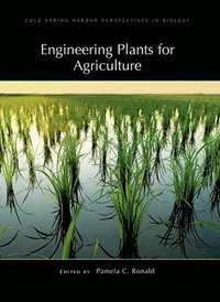 bokomslag Engineering Plants for Agriculture