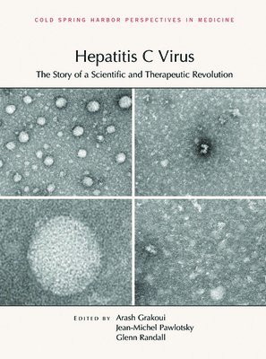 bokomslag Hepatitis C Virus