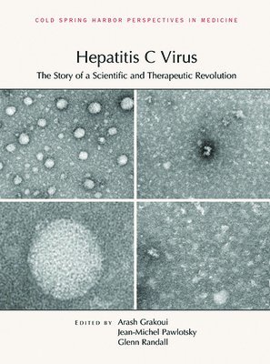 Hepatitis C Virus 1