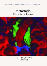 bokomslag Metastasis: Mechanism to Therapy