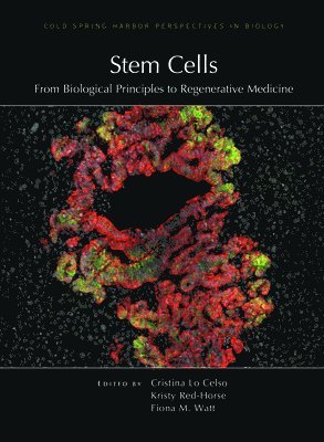 Cristina Lo Celso, Kristy Red-Horse, Fiona M Watt - Stem Cells: From Biological Principles to Regenerative Medicine, Inbunden