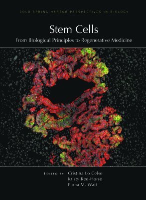 Stem Cells: From Biological Principles to Regenerative Medicine 1