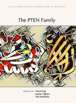Charis Eng, Joanne Ngeow, Vuk Stambolic, Charis Eng, Joanne Ngeow, Vuk Stambolic - Pten Family, Inbunden
