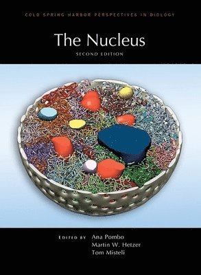 Ana Pombo, Ana Pombo, Martin W. Hetzer, Martin W Hetzer, Tom Misteli - Nucleus, Second Edition, Inbunden