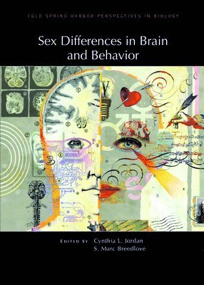 bokomslag Sex Differences in Brain and Behavior