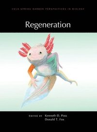 bokomslag Regeneration