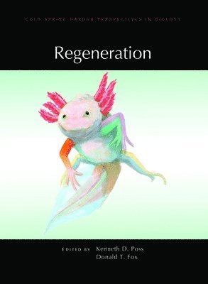 Regeneration 1