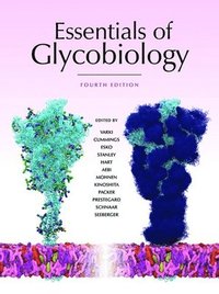 bokomslag Essentials of Glycobiology, Fourth Edition
