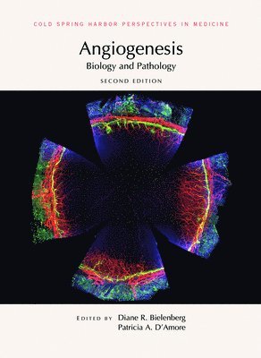 Diane Bielenberg, Patricia D'Amore, Diane R. Bielenberg, Patricia A. D'Amore - Angiogenesis: Biology and Pathology, Inbunden
