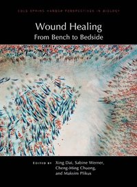 bokomslag Wound Healing: From Bench to Bedside
