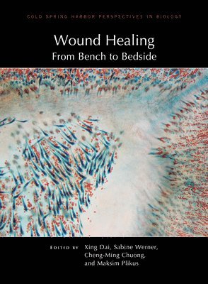 Xing Dai, Sabine Werner, Xing Dai, Sabine Werner, Cheng-Ming Chuong, Maksim Plikus - Wound Healing: From Bench to Bedside, Inbunden