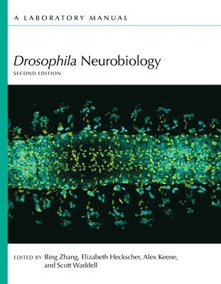 bokomslag Drosophila Neurobiology: A Laboratory Manual, Second Edition