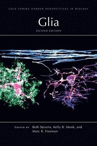 bokomslag Glia, Second Edition