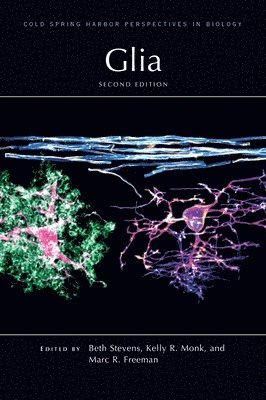 bokomslag Glia, Second Edition