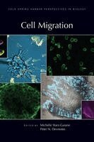 Michelle Starz-Gaiano, Peter N Devreotes - Cell Migration, Inbunden