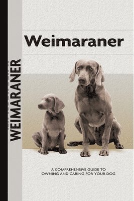 bokomslag Weimaraner (Comprehensive Owner's Guide)