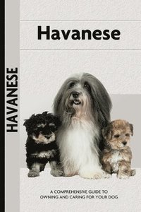 bokomslag Havanese (Comprehensive Owner's Guide)