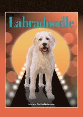 bokomslag Labradoodle