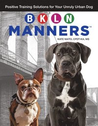 bokomslag BKLN Manners