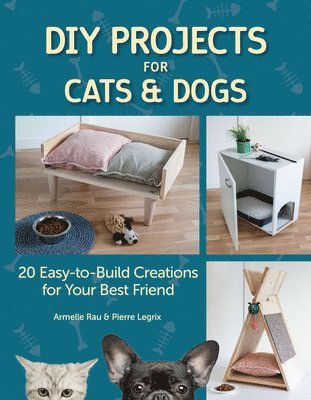 bokomslag DIY Projects for Cats and Dogs