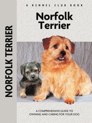 bokomslag Norfolk Terrier (Comprehensive Owner's Guide)