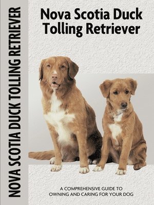 Nona Kilgore Bauer - Nova Scotia Duck Tolling Retriever (Comprehensive Owner's Guide), Häftad