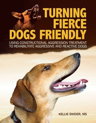 Turning Fierce Dogs Friendly 1