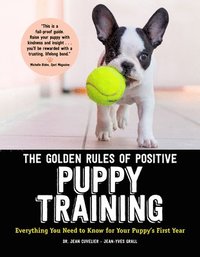bokomslag The Golden Rules of Positive Puppy Training