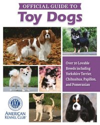 bokomslag Akc Official Guide to Toy Dogs: Over 20 Lovable Breeds Including Yorkshire Terrier, Chihuahua, Papillon, and Pomeranian