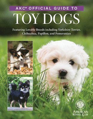 bokomslag Akc Official Guide to Toy Dogs: Featuring Lovable Breeds Including Yorkshire Terrier, Chihuahua, Papillon, and Pomeranian
