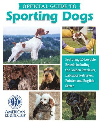 bokomslag Akc Official Guide to Sporting Dogs: Featuring 30 Lovable Breeds Including the Golden Retriever, Labrador Retriever, Pointer, and English Setter