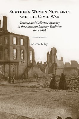 bokomslag Southern Women Novelists and the Civil War