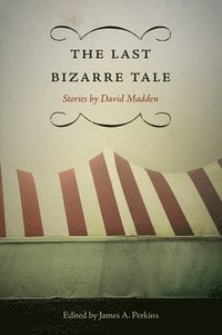 bokomslag Last Bizarre Tale